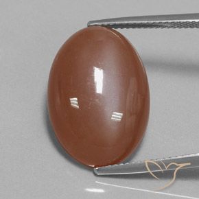 15.54ct 天然 シナモンブラウン ムーンストーン, 楕円形, オペーク