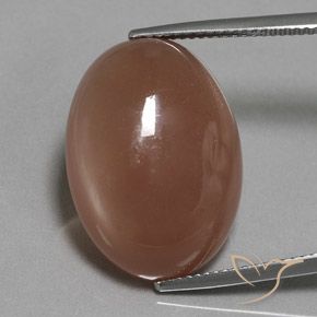 18.61ct 天然 ミディアムブラウン ムーンストーン, 楕円形, 半透明