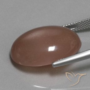 18.61カラットの天然ミディアムブラウンムーンストーン、楕円形、半透明