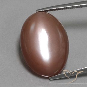 19.77ct 天然 ウォームブラウン ムーンストーン, 楕円形, オペーク