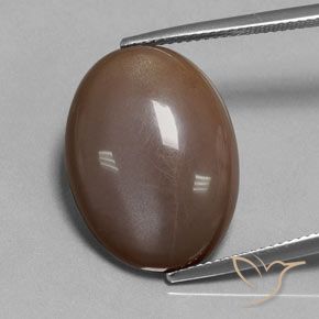 18.80ct 天然 チョコレートブラウン ムーンストーン, 楕円形, 半透明