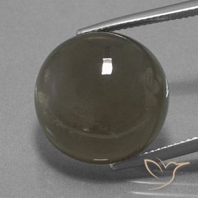 18.40ct 天然 グレーブラウン ムーンストーン, ラウンド, 半透明