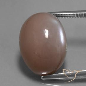 24.60ct 天然 ミディアム薄いブラウン ムーンストーン, 楕円形, 半透明