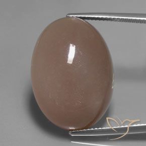 27.83ct 天然 ライトブラウン ムーンストーン, 楕円形, 半透明