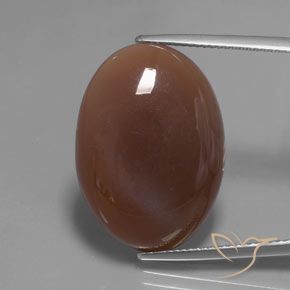 22.04ct 天然 ミディアムブラウン ムーンストーン, 楕円形, 半透明