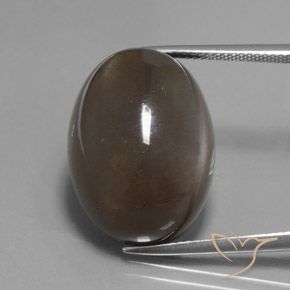 27.12ct 天然 アンバーブラウン ムーンストーン, 楕円形, 半透明