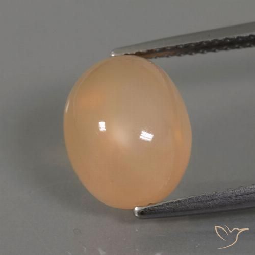 4.41ct 天然 ミディアムオレンジゴールド ムーンストーン, 楕円形, 透明