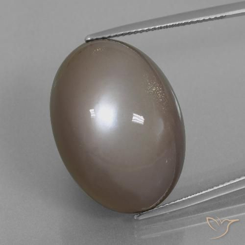 39.74ct 天然 ミディアムブラウン ムーンストーン, 楕円形, オペーク
