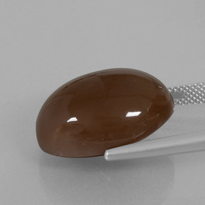 20.25カラットの天然チョコレートブラウンムーンストーン、オーバルカット、オペーク