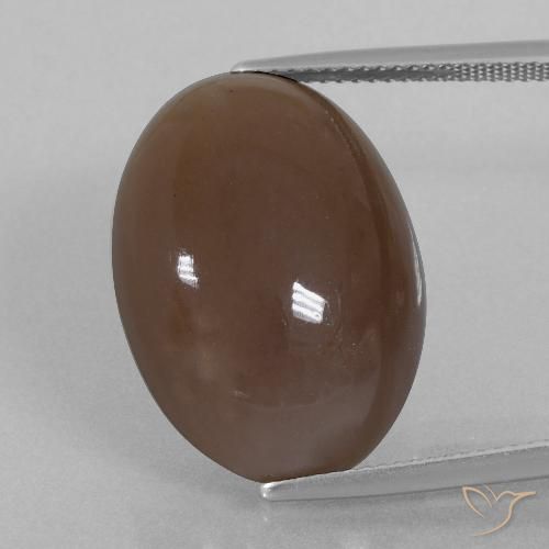22.40ct 天然 ミディアムブラウン ムーンストーン, 楕円形, オペーク