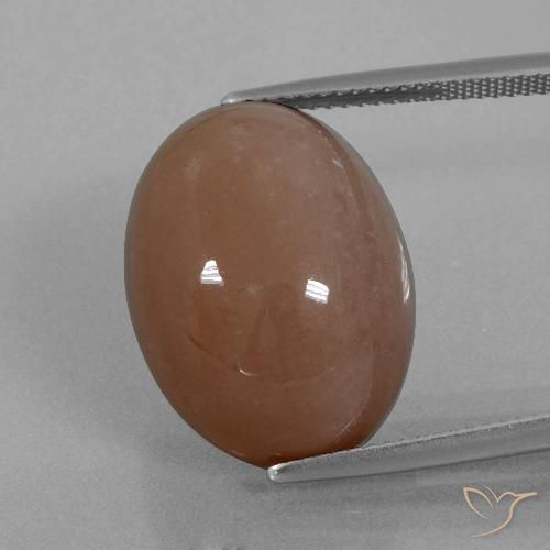 21.86ct 天然 ブラウン ムーンストーン, 楕円形, オペーク