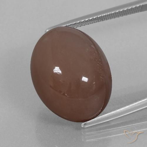 25.76ct 天然 エスプレッソブラウン ムーンストーン, 楕円形, オペーク