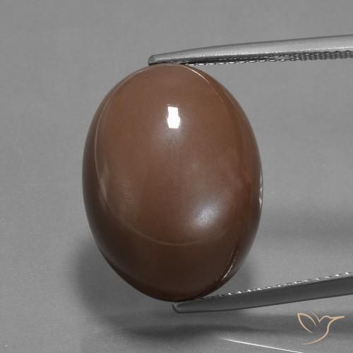 20.43ct 天然 ミディアムブラウン ムーンストーン, 楕円形, オペーク