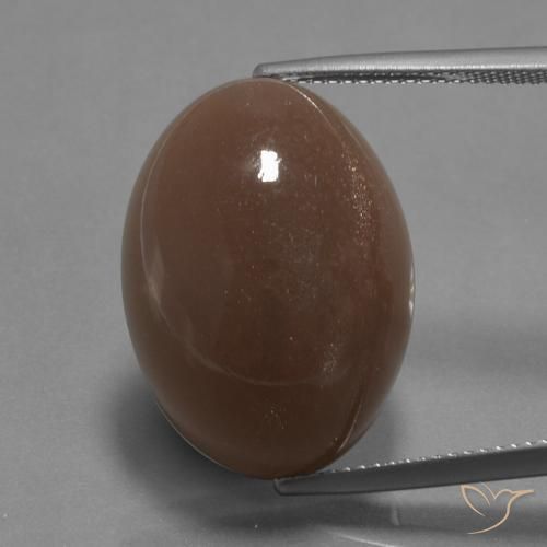 22.67ct 天然 ミディアムブラウン ムーンストーン, 楕円形, オペーク