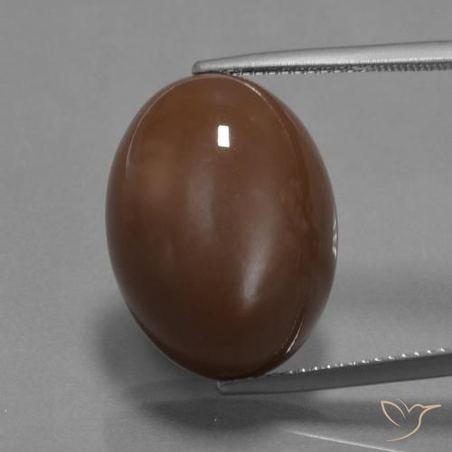 22.27ct 天然 ミディアムブラウン ムーンストーン, 楕円形, オペーク
