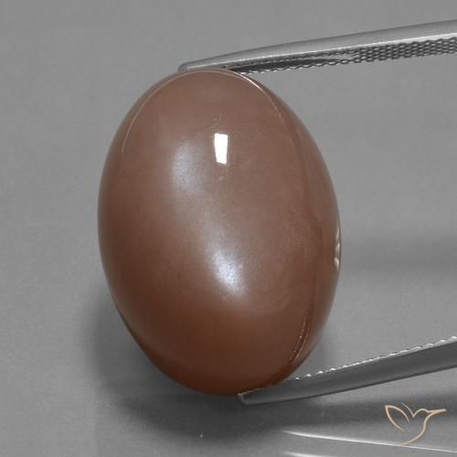 30.59ct 天然 ミディアムブラウン ムーンストーン, 楕円形, オペーク