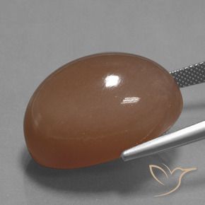 44.65カラットの天然ウォームブラウンムーンストーン、オーバルカット、オペーク