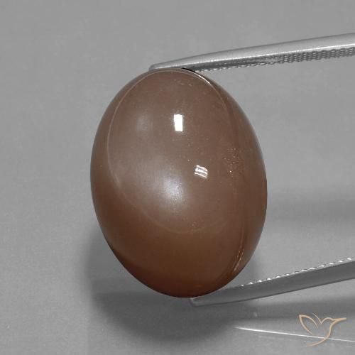 34.59ct 天然 ミディアムブラウン ムーンストーン, 楕円形, オペーク
