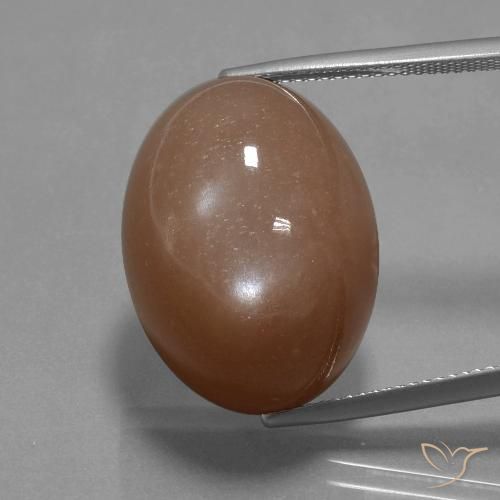 32.77ct 天然 ウォームブラウン ムーンストーン, 楕円形, オペーク