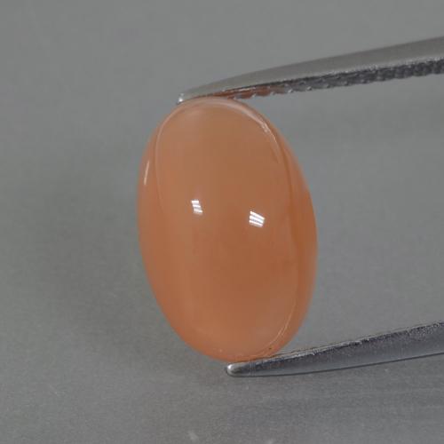 4.42カラットの天然ピーチオレンジムーンストーン、オーバルカット、半透明