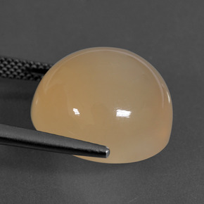 16.94カラットの天然ミディアムオレンジムーンストーン、ラウンドカット、半透明