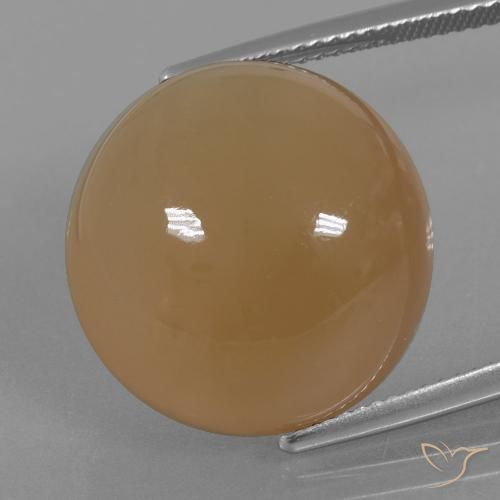 23.98ct 天然 薄いピーナッツブラウン ムーンストーン, ラウンド, 半透明