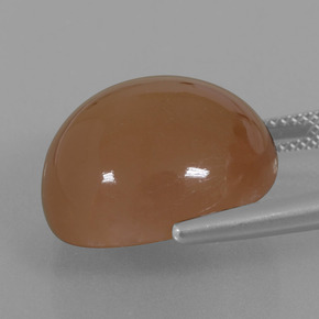 23.28カラットの天然ウォームブラウンムーンストーン、ラウンドカット、半透明