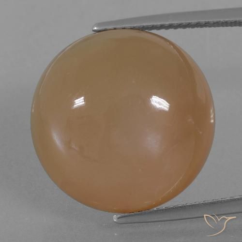 23.89ct 天然 キャラメルブラウン ムーンストーン, ラウンド, 半透明