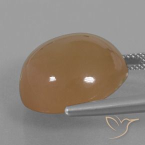 23.89カラットの天然キャラメルブラウンムーンストーン、ラウンド、半透明