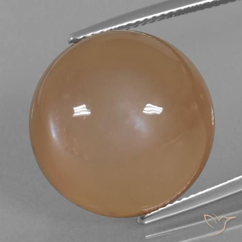 24.65ct 天然 キャラメルブラウン ムーンストーン, ラウンド, 半透明