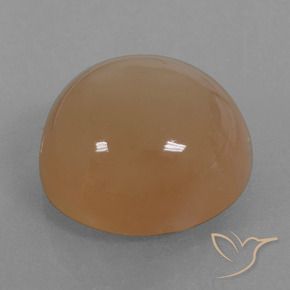 24.65カラットの天然キャラメルブラウンムーンストーン、ラウンド、半透明