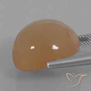 24.65カラットの天然キャラメルブラウンムーンストーン、ラウンド、半透明