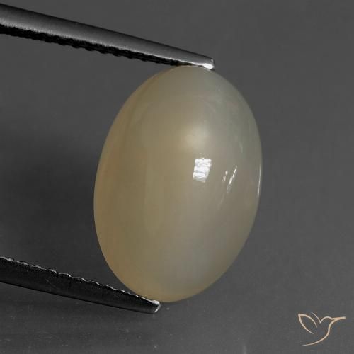 6.82ct 天然 薄いトルティーヤブラウン ムーンストーン, 楕円形, 半透明