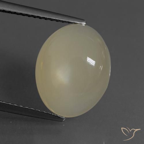 6.24ct 天然 薄いコーヒーブラウン ムーンストーン, 楕円形, 半透明