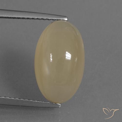 7.30ct 天然 薄いコーヒーブラウン ムーンストーン, 楕円形, 半透明