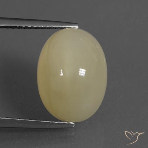 8.81ct 天然 薄いコーヒーブラウン ムーンストーン, 楕円形, 半透明