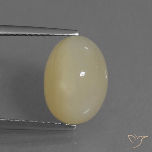 6.34ct 天然 薄いコーヒーブラウン ムーンストーン, 楕円形, 半透明