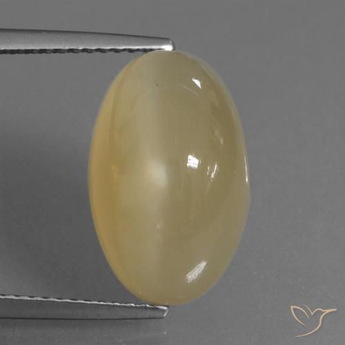 8.83ct 天然 薄いブラウン ムーンストーン, 楕円形, 半透明