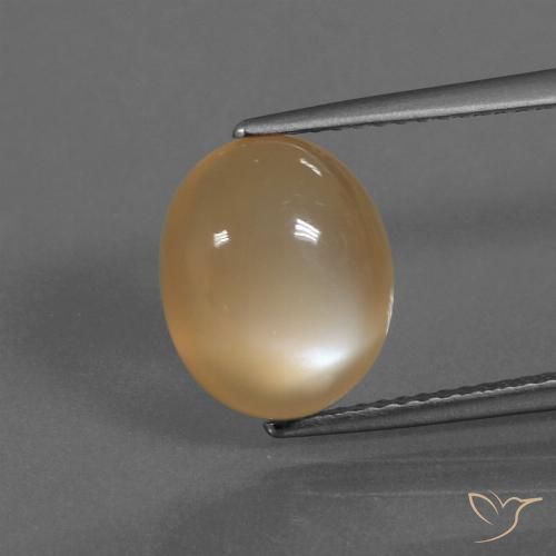 4.18ct 天然 オレンジクリーム ムーンストーン, 楕円形, 半透明