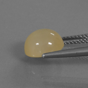 3.37カラットの天然ゴールドムーンストーン、ラウンドカット、半透明