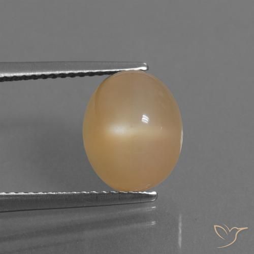5.32ct 天然 オレンジゴールド ムーンストーン, 楕円形, 半透明