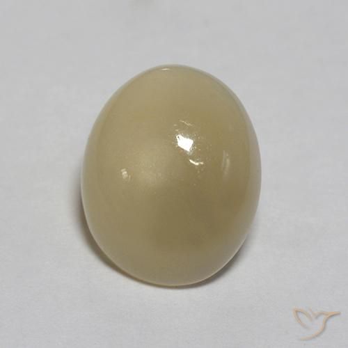 3.03ct 天然 薄いコーヒーブラウン ムーンストーン, 楕円形, 半透明