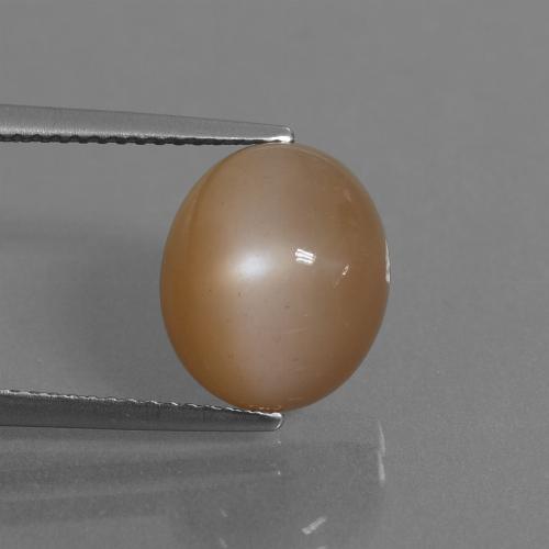 6.30カラットの天然ピーナッツブラウンムーンストーン、オーバルカット、半透明