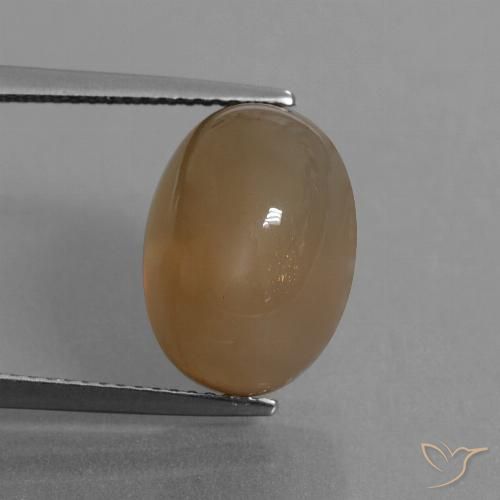 9.55ct 天然 薄いキャラメルブラウン ムーンストーン, 楕円形, 半透明