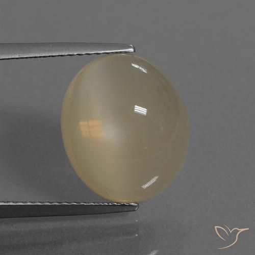 7.46ct 天然 薄いコーヒーブラウン ムーンストーン, 楕円形, 半透明