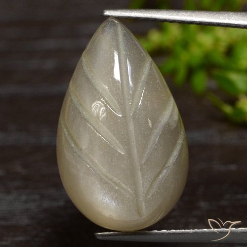 12.55ct 天然 薄いコーヒーブラウン ムーンストーン, ファンシー, 半透明