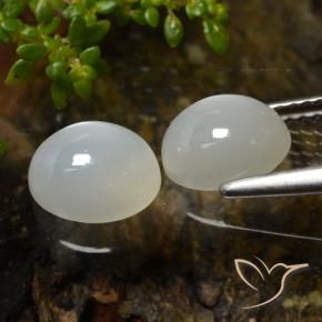 自然派の商品を探す 3.27ct ウォームホワイト ムーンストーン 宝石, オーバルカット, インド からGemSelectで. 在庫あり、世界各国へ発送!