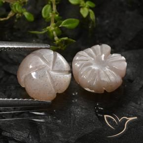 Shop natural 5.08ct 薄いキャラメルブラウン ムーンストーン gems, フラワーカット, from インド at GemSelect. In stock, global shipping!