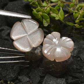 自然派の商品を探す 3.29ct 非常に薄い茶色 ムーンストーン 宝石, フラワーカット, インド からGemSelectで. 在庫あり、世界各国へ発送!