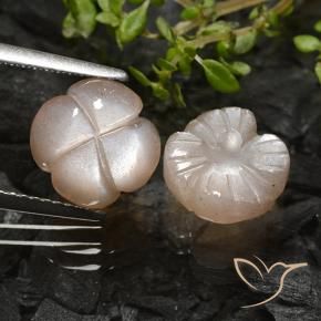 Shop natural 5.09ct 薄いキャラメルブラウン ムーンストーン gems, フラワーカット, from インド at GemSelect. In stock, global shipping!